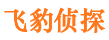 雁峰市婚姻调查